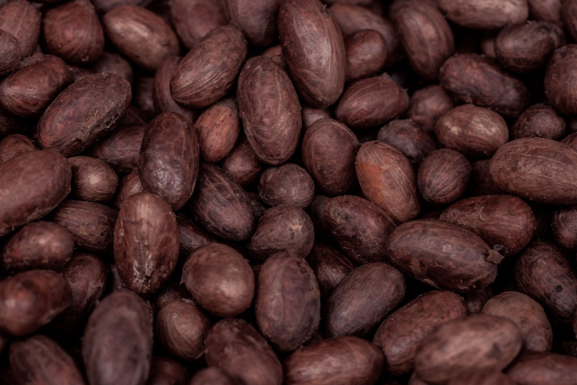 Shea & Palm Oil